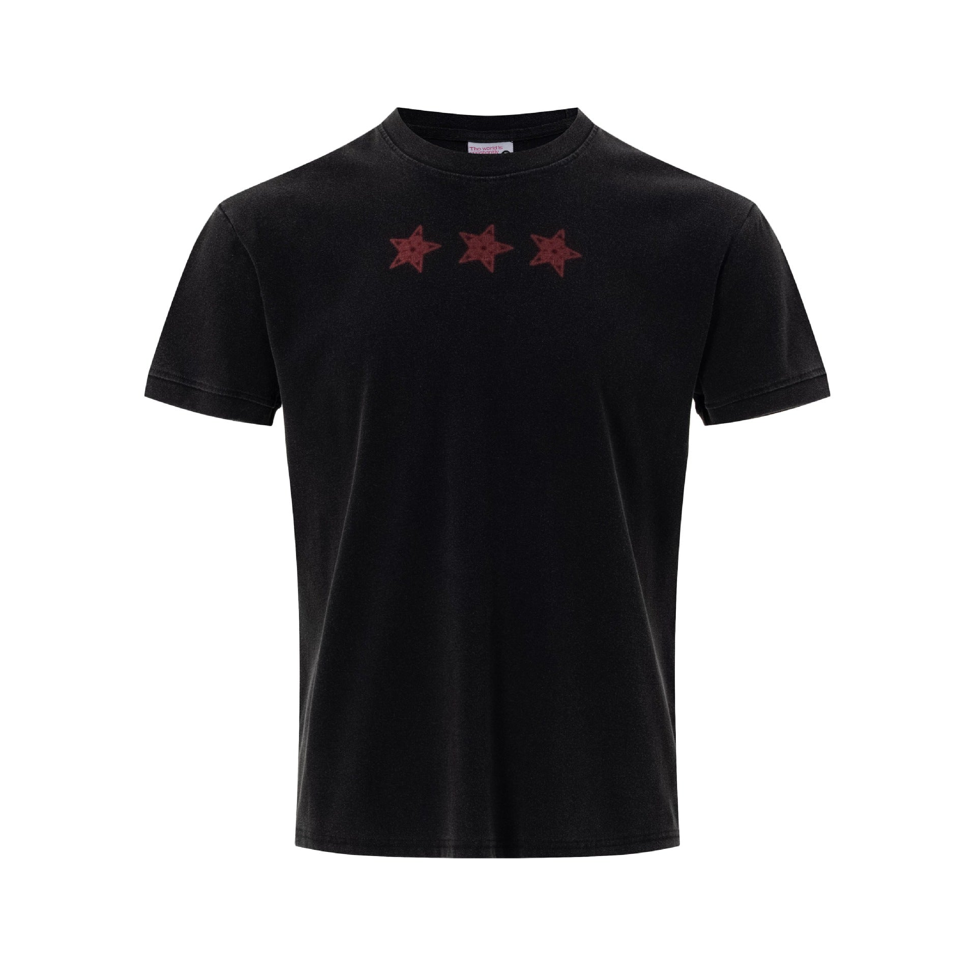 Floral Star Slogan Short Sleeve Cotton Blend Tee For Casual Wear